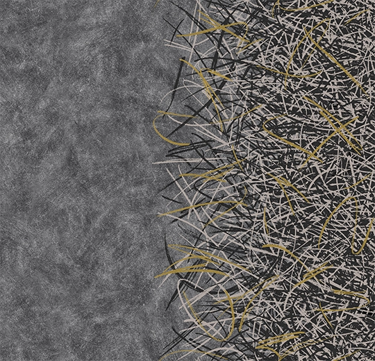 312006 Vortex gold A2